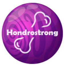 Hondrostrong - spoločný liek Hondrostrong - spoločný liek
